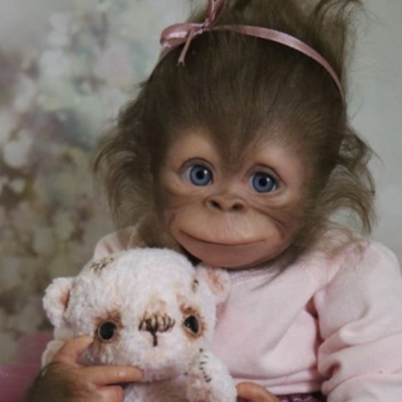 Meet your Posher, Ellie - Picture 1 of 1